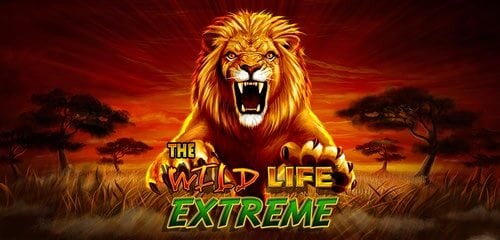 Play The Wild Life Extreme at ICE36
