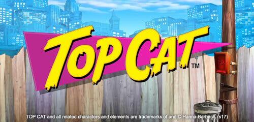 Play Top Cat at ICE36 Casino