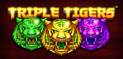 Play Triple Tigers at ICE36 Casino