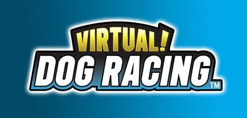 Play Top Online Slots | Prime Slots