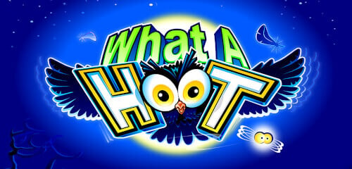 Play What A Hoot at ICE36 Casino