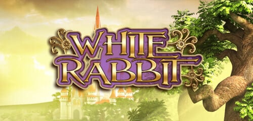 White Rabbit