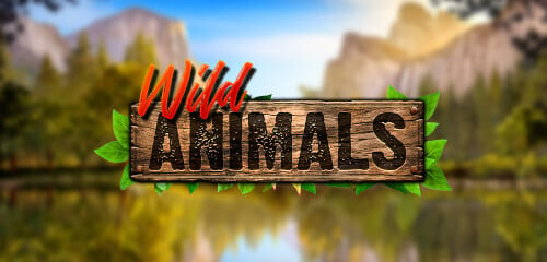 Play Wild Animals at ICE36 Casino