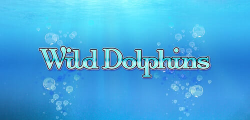 Play Wild Dolphins at ICE36 Casino