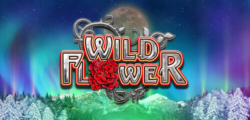 Play Wild Flower at ICE36 Casino