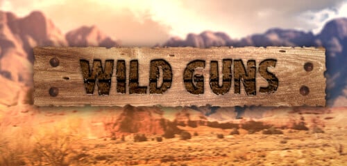 Wild Guns