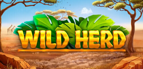 Play Wild Herd at ICE36 Casino