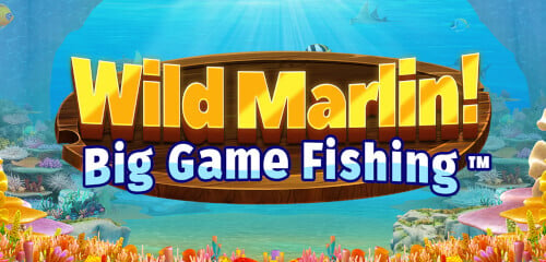 Wild Marlin! - Big Game Fishing