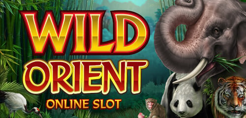 Wild Orient