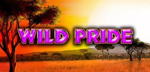 Play Wild Pride at ICE36 Casino