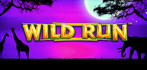 Play Wild Run at ICE36 Casino