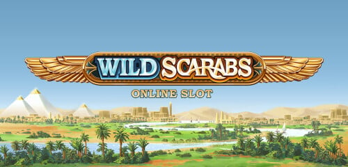 Play Wild Scarabs at ICE36 Casino