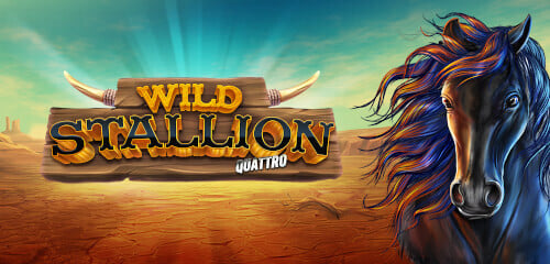 Play Wild Stallion at ICE36 Casino