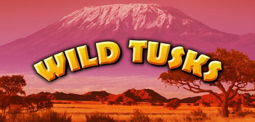 Play Wild Tusks at ICE36 Casino