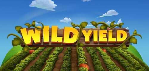 Play Wild Yield at ICE36 Casino