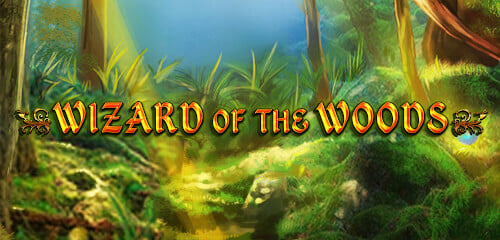 Play Wizard of the Woods at ICE36 Casino