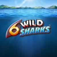 6 Wild Sharks