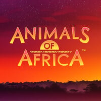 Animals of Africa