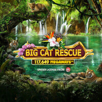 Big Cat Rescue Megaways