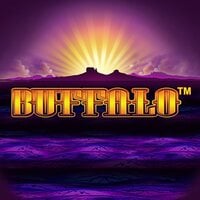 Buffalo