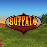 Buffalo Bingo