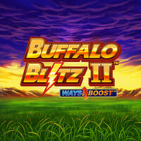 Buffalo Blitz 2