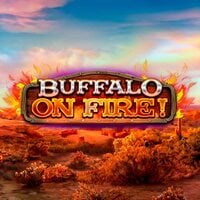 Buffalo on Fire