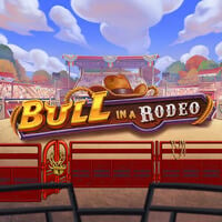 Bull in a Rodeo