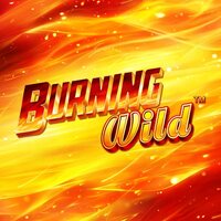 Burning Wild