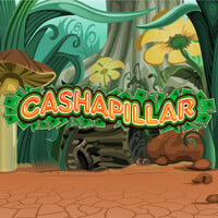 Cashapillar