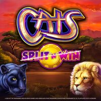 Play Cats Split 'N' Win at ICE36