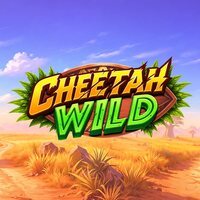 Cheetah Wild