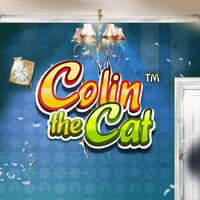 Colin The Cat