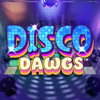 Disco Dawgs