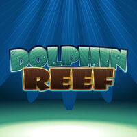 Dolphin Reef