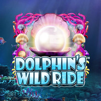 Dolphin's Wild Ride