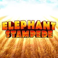 Elephant Stampede