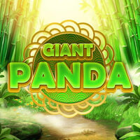 Giant Panda