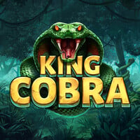 King Cobra