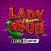 Lady Charm Bug