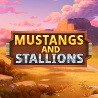 Mustang and Stallions
