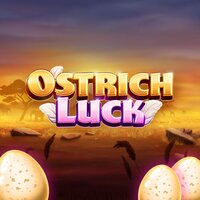 Ostrich Luck