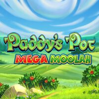 Paddy's Pot Mega Moolah