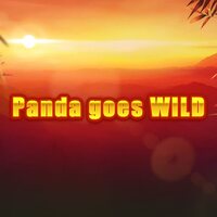 Panda Goes Wild