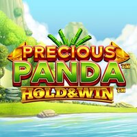 Precious Panda Hold and Win