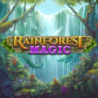 Rainforest Magic