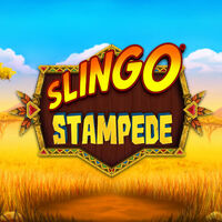 Slingo Stampede