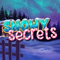 Snowy Secrets
