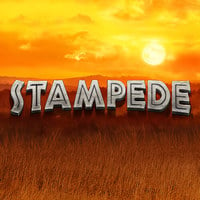 Stampede