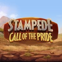 Stampede: Call of the Pride